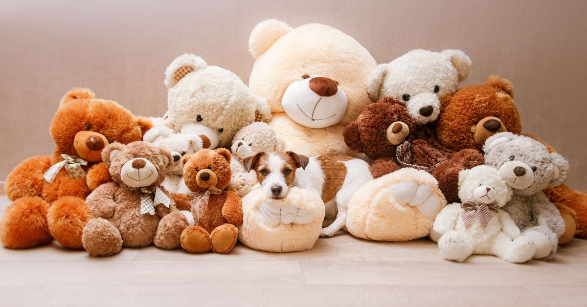 Tặng gấu bông cho con