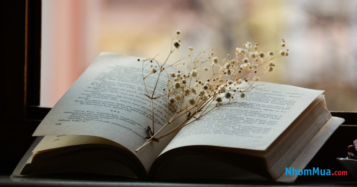 Một quyển sách kèm theo những lời chúc ý nghĩa là món quà ấn tượng với bạn nữ