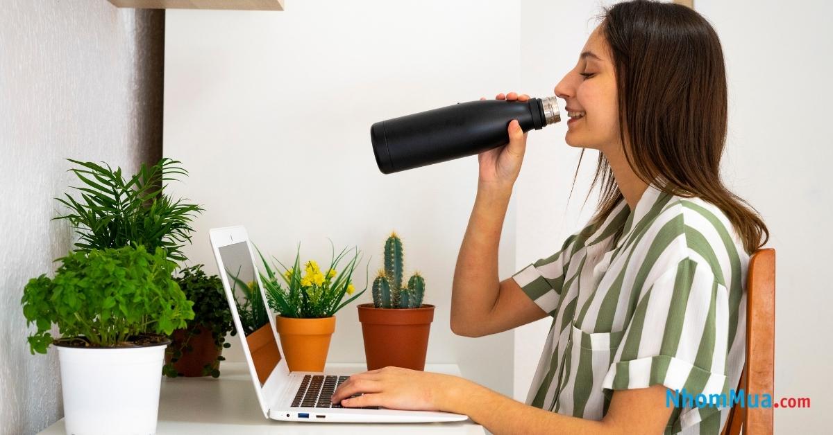 Tặng chậu cây để bàn