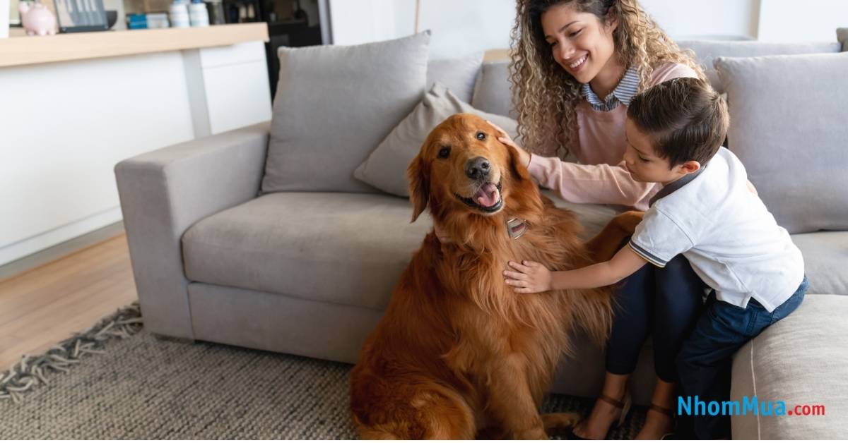 Thú nuôi là món quà giáng sinh tuyệt vời cho bé trai 10 tuổi