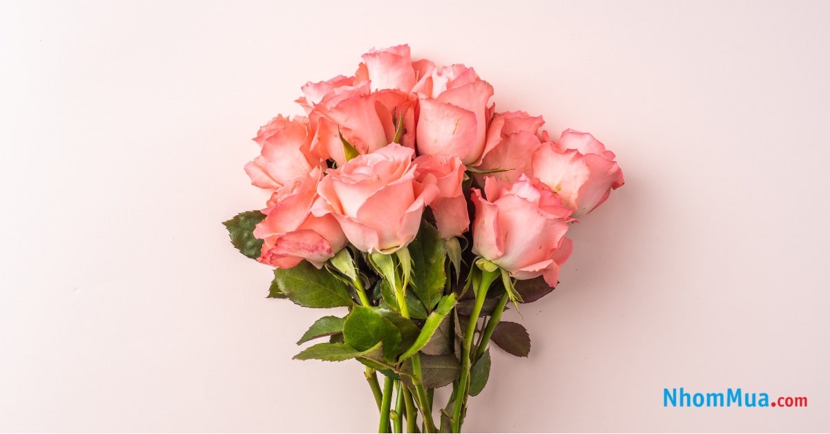 Vẻ đẹp của những đóa hoa tươi thắm là món quà mà bất kỳ nào cô gái nào cũng muốn nhận